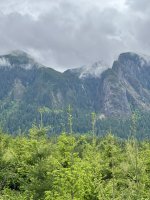 IMG_2241.jpeg
