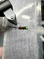 IMG_6280.jpeg