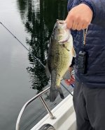 IMG_0804.jpeg