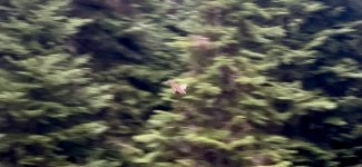 IMG_5849.jpeg