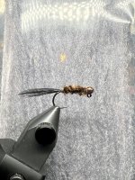 IMG_6281.jpeg