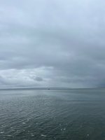 IMG_2572.jpeg