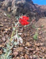 IMG_5830.jpeg IMG_5830.jpeg