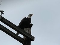 IMG_2416.jpeg
