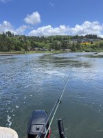 2025Maynarrows.jpg