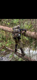 IMG_9233.png IMG_9233.png