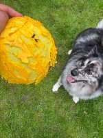 IMG_0814.jpeg