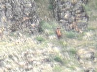 IMG_9155.jpeg IMG_9155.jpeg