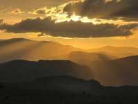 IMG_0208.jpeg