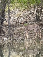 IMG_0191.jpeg