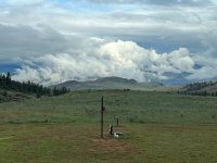 IMG_0218.jpeg
