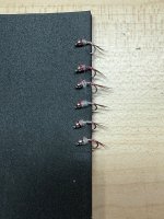 IMG_2033.jpeg