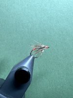 IMG_6285.jpeg