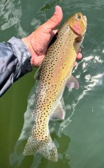 IMG_6462.jpeg
