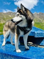 IMG_6505.jpeg