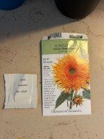 IMG_1395.jpeg IMG_1395.jpeg