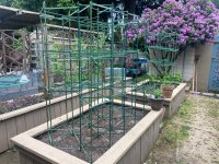 IMG_7330.jpeg IMG_7330.jpeg