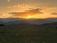 IMG_3499.jpeg