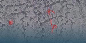 1747972085721.png