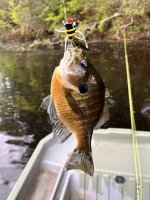 IMG_0890.jpeg