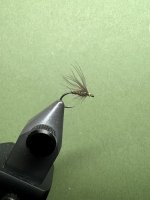IMG_6294.jpeg