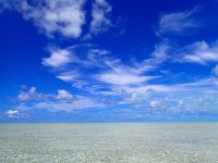 Bonefish Flat.JPG