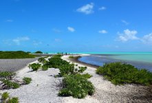 Paul Island 2.JPG