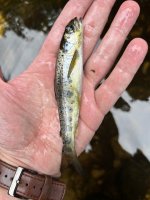 IMG_1174.jpeg