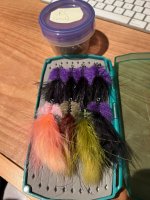 IMG_3972.jpeg