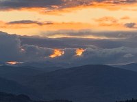 IMG_6767.jpeg