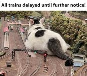 IMG_7336.jpeg