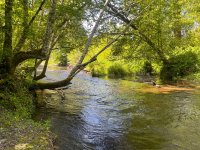 IMG_5503.jpeg