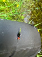 IMG_5505.jpeg