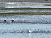IMG_2518.jpeg