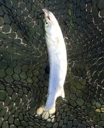 IMG_2540.jpeg