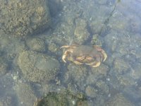 IMG_2542.jpeg