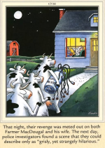 1748201047194.png
