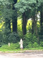 IMG_3974.jpeg
