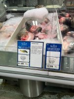 IMG_3977.jpeg IMG_3977.jpeg