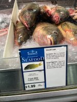 IMG_3979.jpeg IMG_3979.jpeg