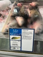 IMG_3978.jpeg IMG_3978.jpeg