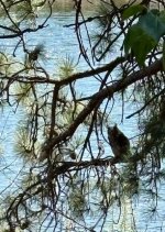 IMG_3087.jpeg IMG_3087.jpeg