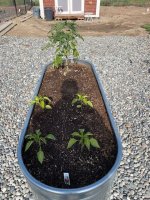 garden5.jpg