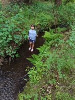 IMG_20250526_115025137.jpg