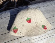IMG_2556.jpeg