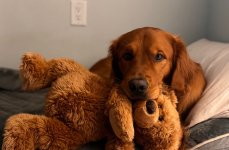 IMG_4725.jpeg