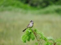 IMG_9073.jpeg