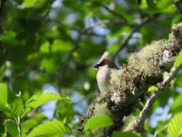 IMG_9072.jpeg