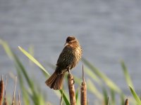 IMG_8969.jpeg