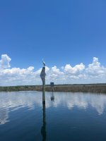 IMG_3991.jpeg